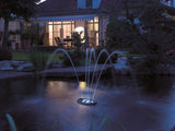 Water Starlet