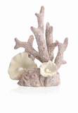 Korallipatsas